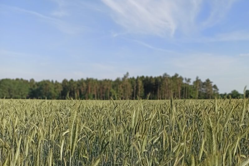 Die ersten Laufrunden