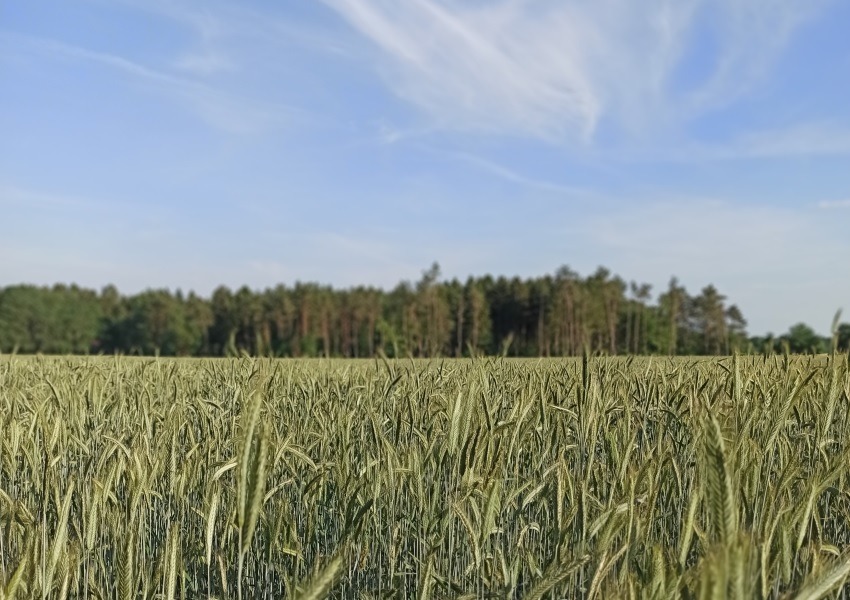Die ersten Laufrunden