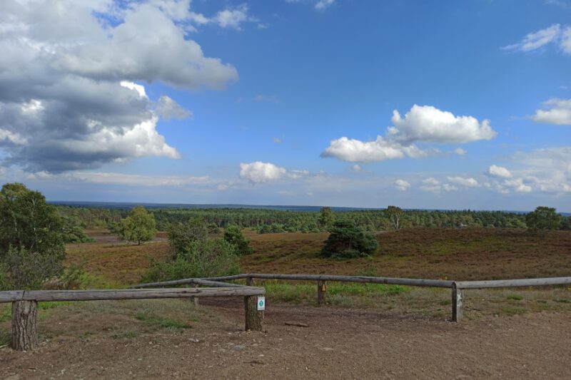 Brunsberg und Büsenbachtal