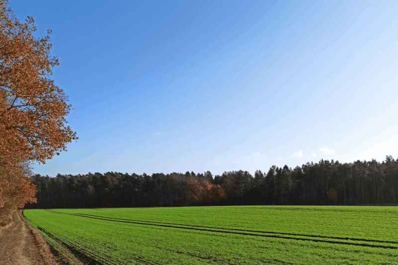 Herbstwalk bei Sonnenschein