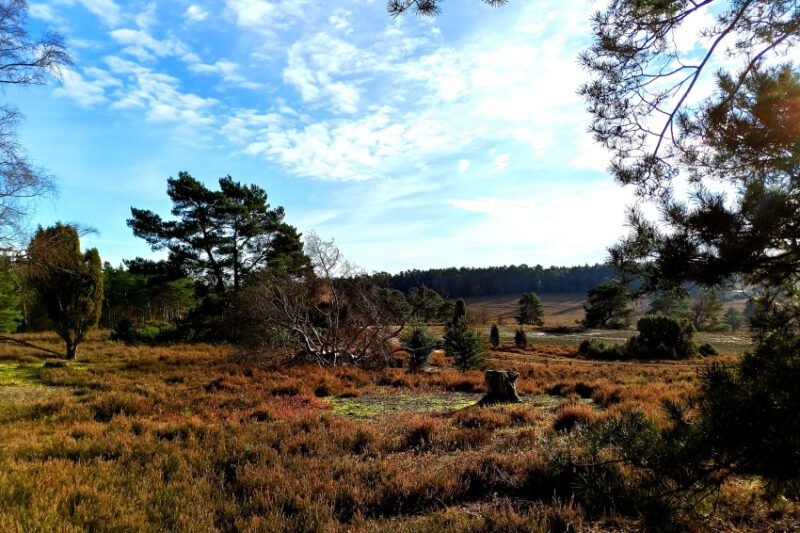 Walking im Büsenbachtal