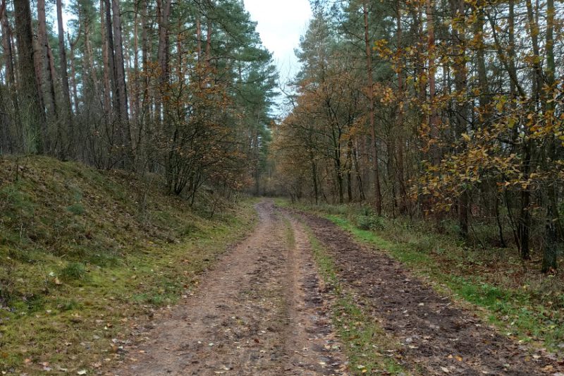 Die kleine Tour de Matsch