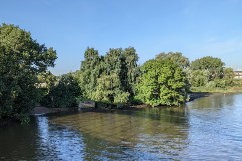 Walkingtour Hamburg > Buchholz