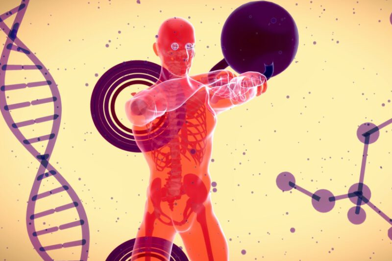 Was sind eigentlich Faszien?