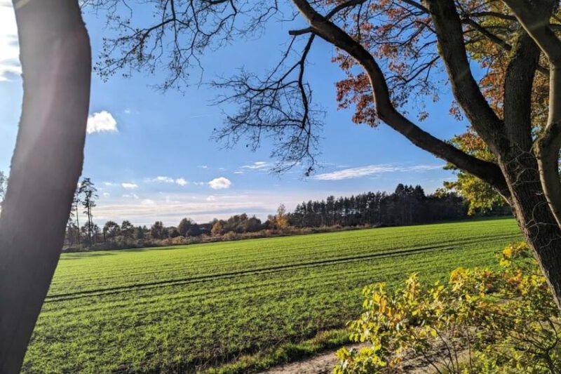 Walking Sport – Die Hausrunde