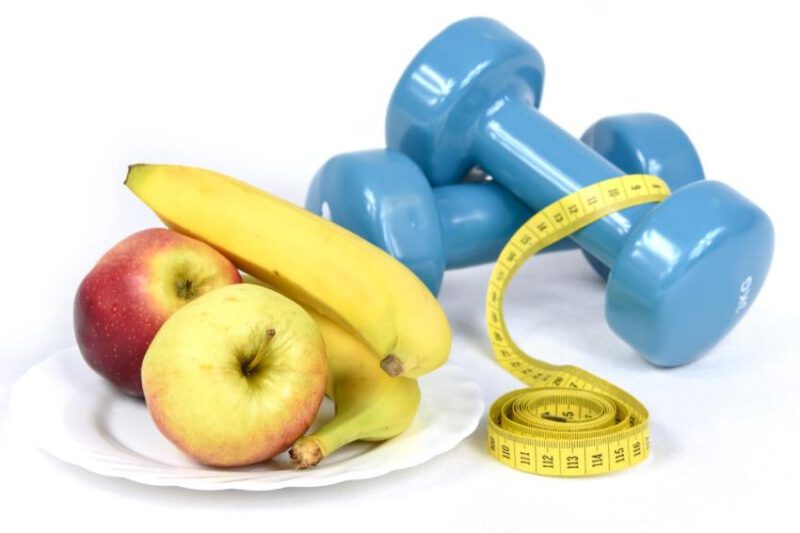 Der Stoffwechsel – Netzwerk aus Zellen