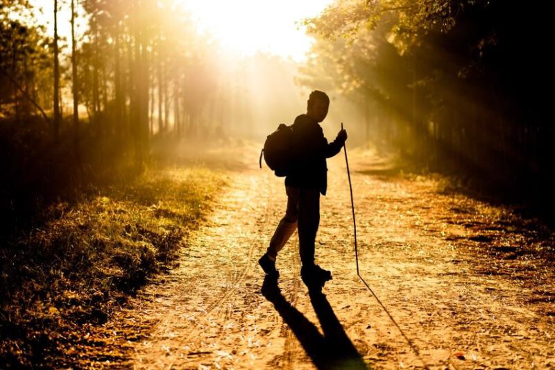 Walking: Die einfachste Art der Bewegung – Walking Trainingsplan