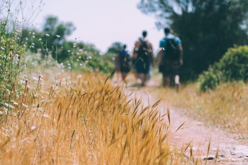 Walking, Gehen und Wandern im Vergleich