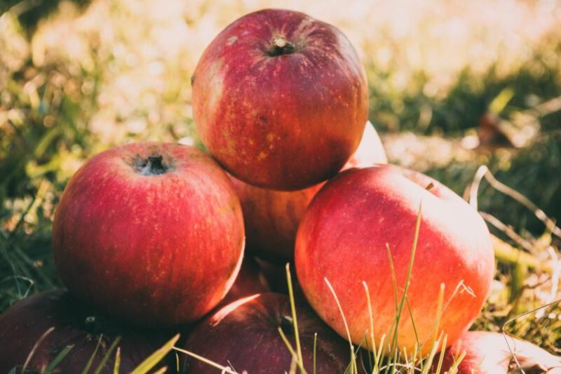 5 leckere Snack-Ideen für deine Touren