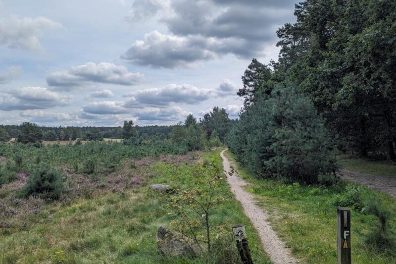 Entdecke die Welt mit Komoot