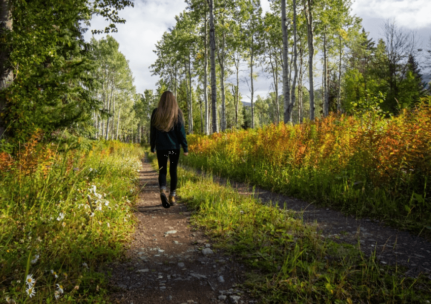 Walking Sport Fitnesstrend 2024