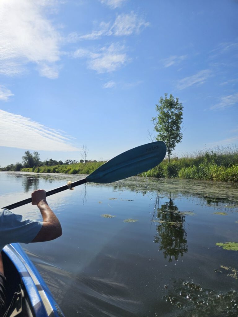 Anfang-der-Kajak-Tour-auf-der-Gose-Elbe-768x1024