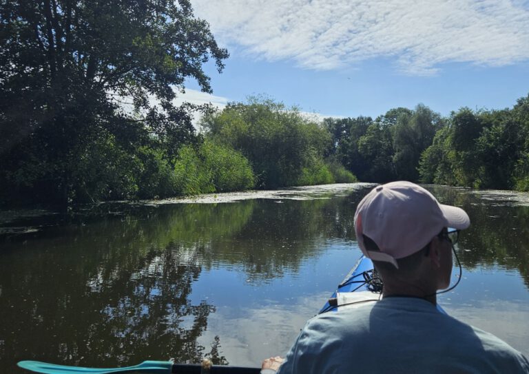 Gose-Elbe-am-Morgen-768x543
