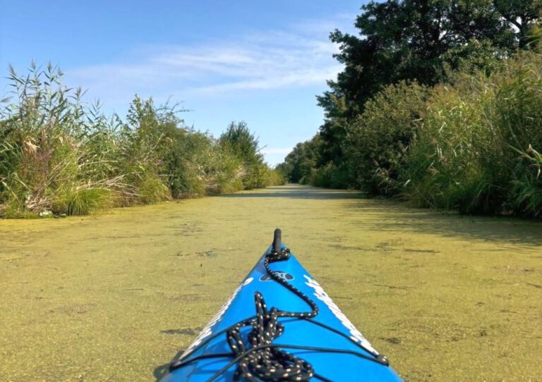 Kajak Tour Hamburger Marschlande 19km