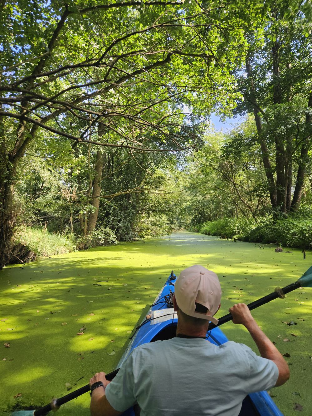 Neuengammer-Durchstich-im-Kajak-entdecken