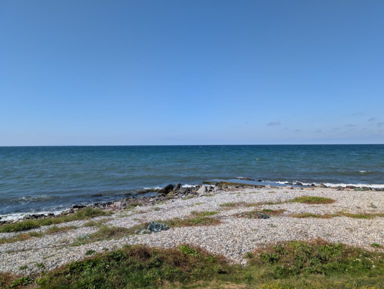 PXL_20250819_101321958 PXL_20250819_101321958