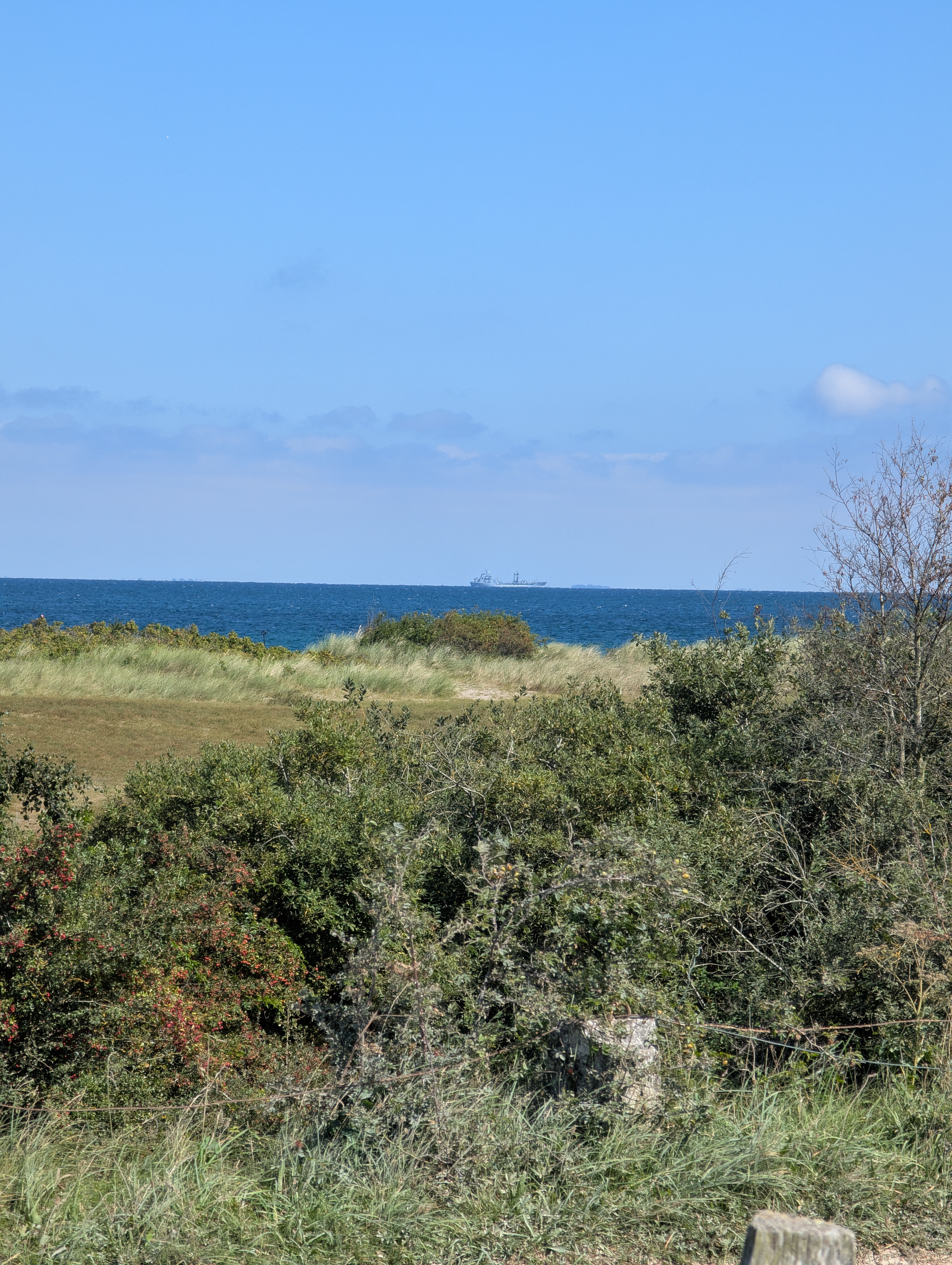 PXL_20250819_105259923 PXL_20250819_105259923