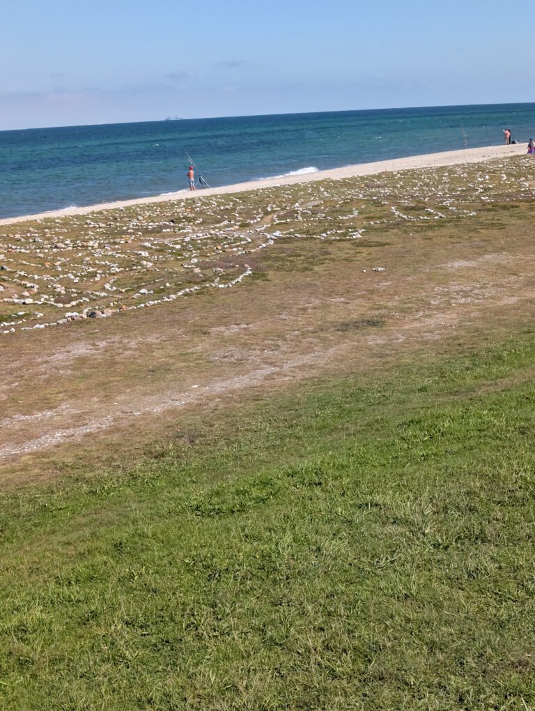 PXL_20250819_105808499 PXL_20250819_105808499