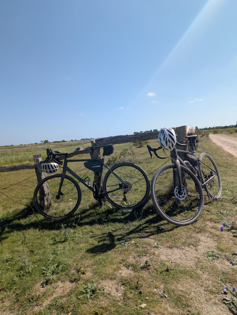 PXL_20250819_111637220 PXL_20250819_111637220