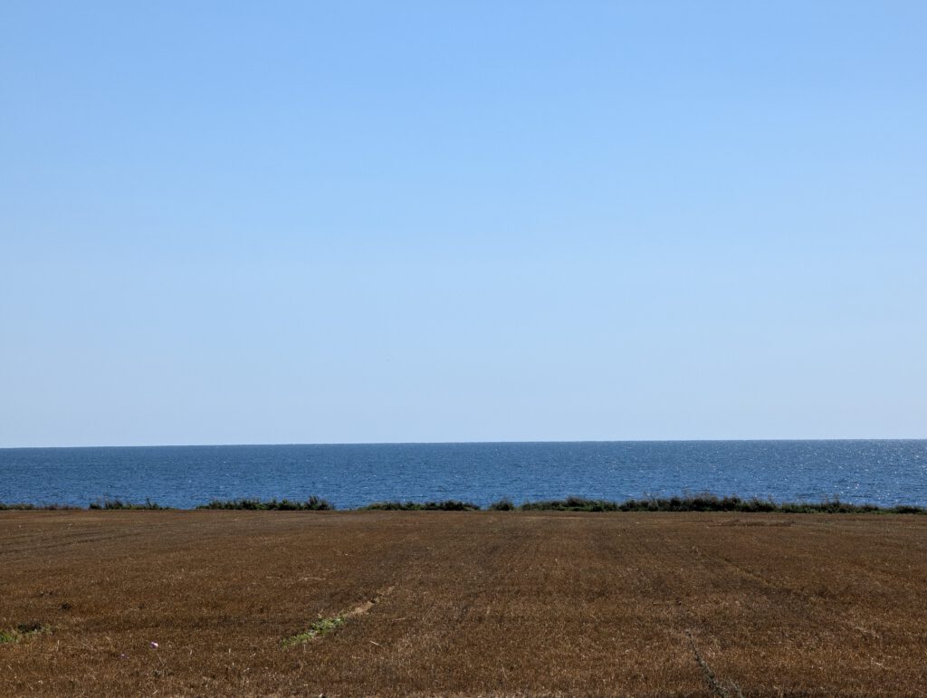 PXL_20250819_124803438 PXL_20250819_124803438